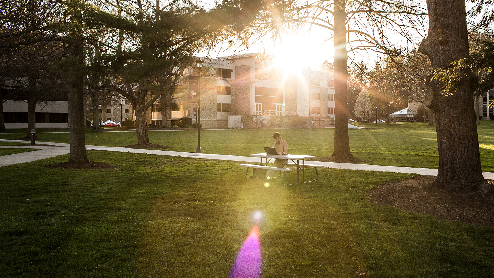 Student studying on the quad at sunset
