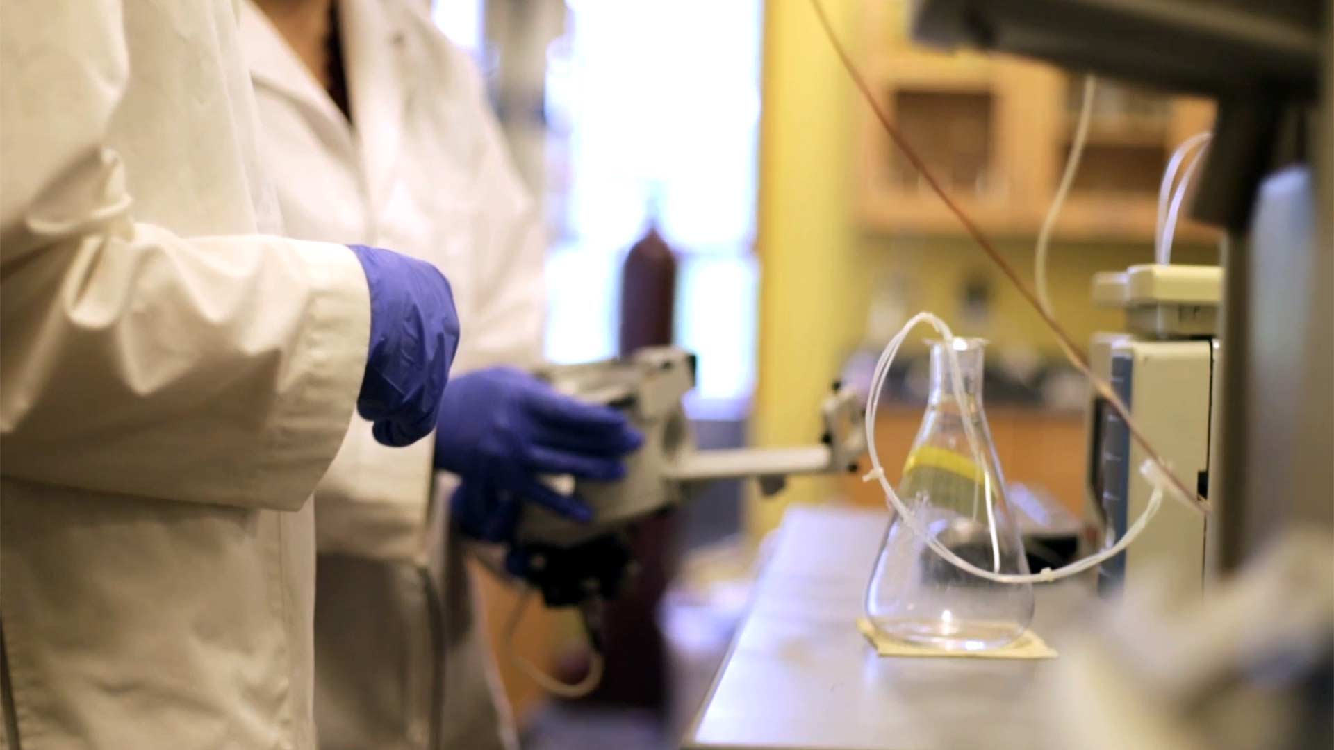 students in chemistry lab during Shannon Summer Research Institute