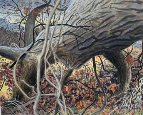 Nick Blosser painting of a large fallen tree.