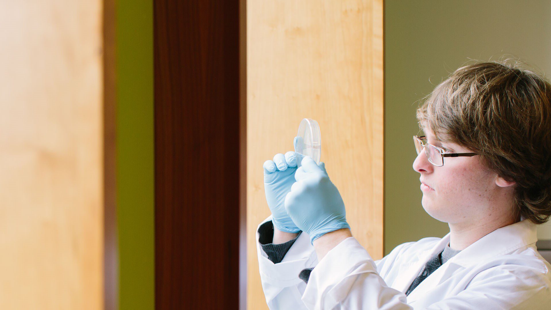 Student standing by window examining petri dish.