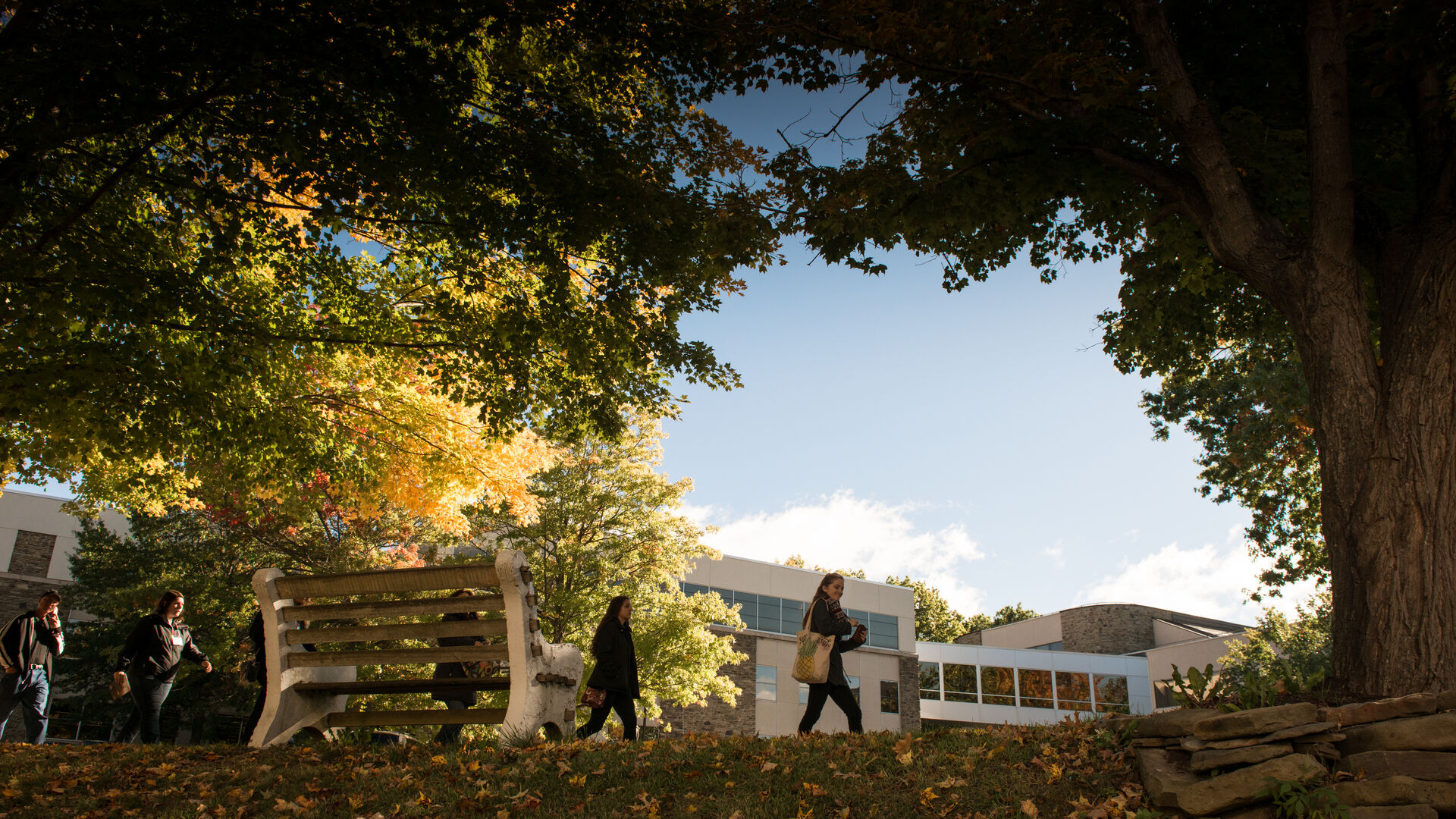 Students walking on the paths across campus on a beautiful fall day.