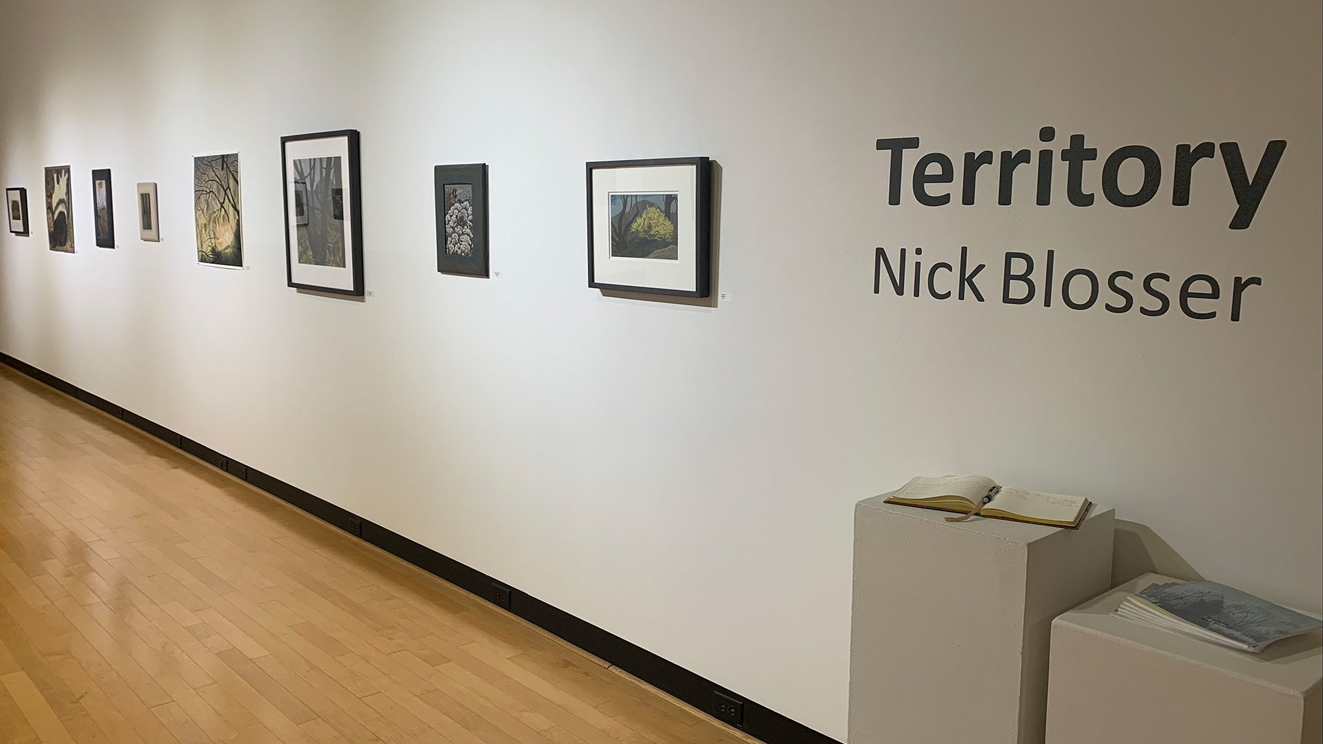 Interior view of Nick Blosser Territory exhibition at Houghton's Ortlip Gallery.