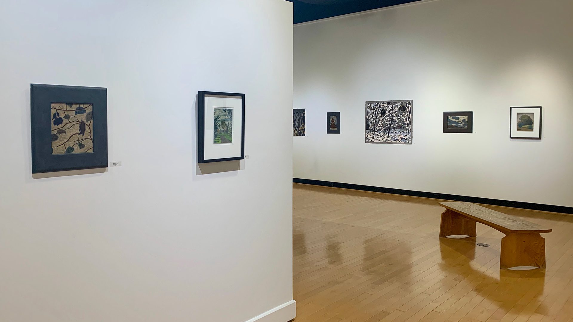 Interior view of Nick Blosser Territory exhibition at Houghton's Ortlip Gallery.