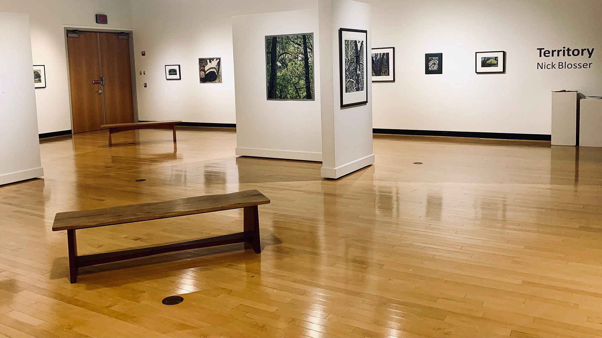 Interior view of Nick Blosser Territory exhibition at Houghton's Ortlip Gallery.