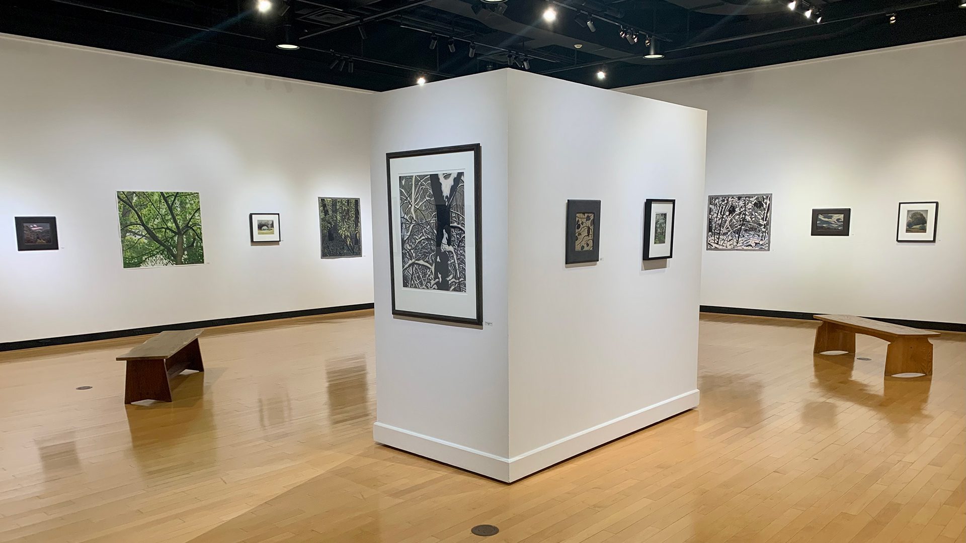 Interior view of Nick Blosser Territory exhibition at Houghton's Ortlip Gallery.