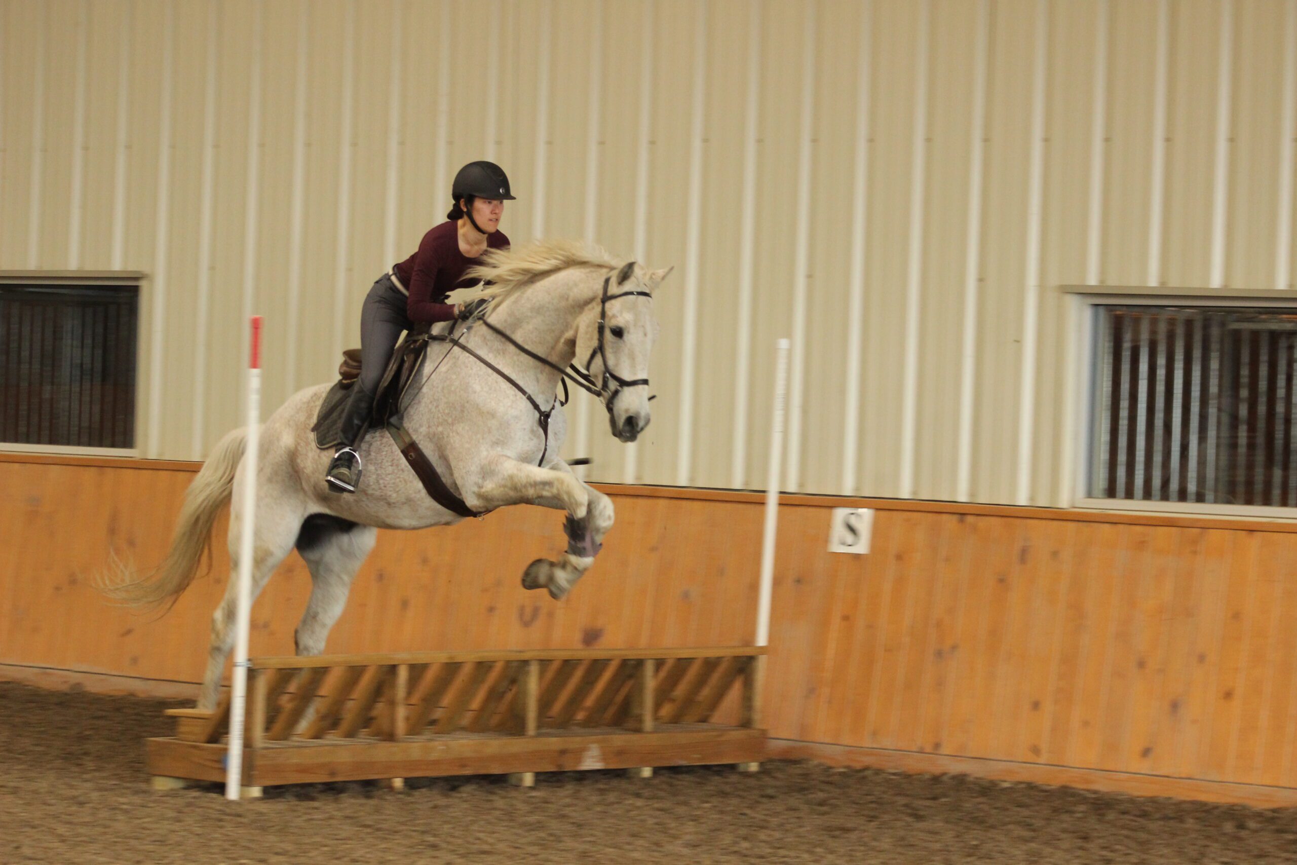 Student jumping horse over bench jump in indoor arena