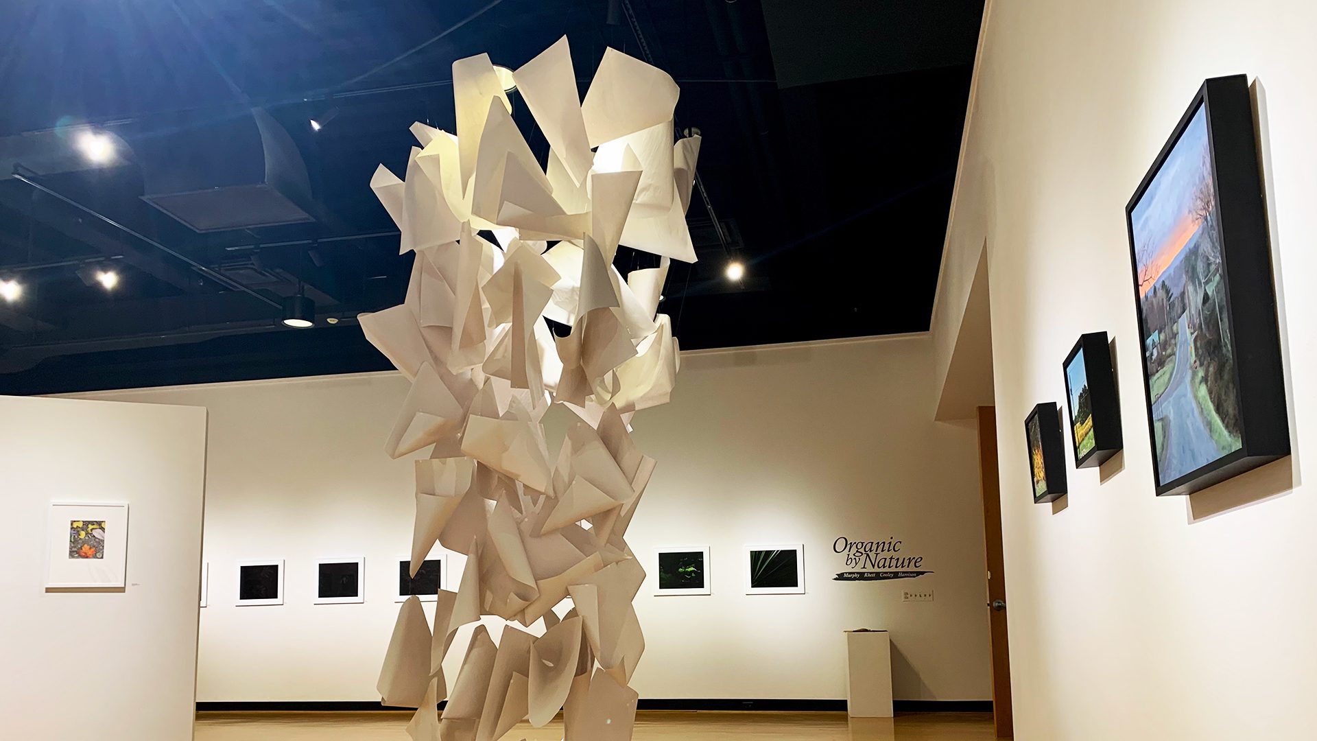 large sculpture installation and photos in the Ortlip gallery for faculty exhibit