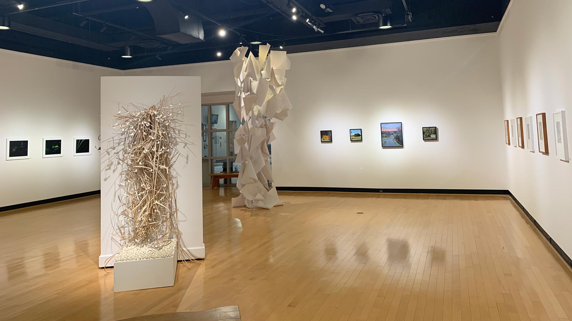 Gallery view of Organic by Nature Faculty Art Show at the Ortlip Gallery at Houghton University.