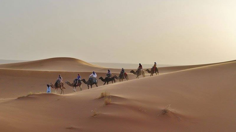 Houghton students on camels in the Moroccan desert.