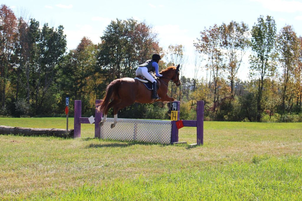 Student jumping lesson horse over cross country H lattice fence