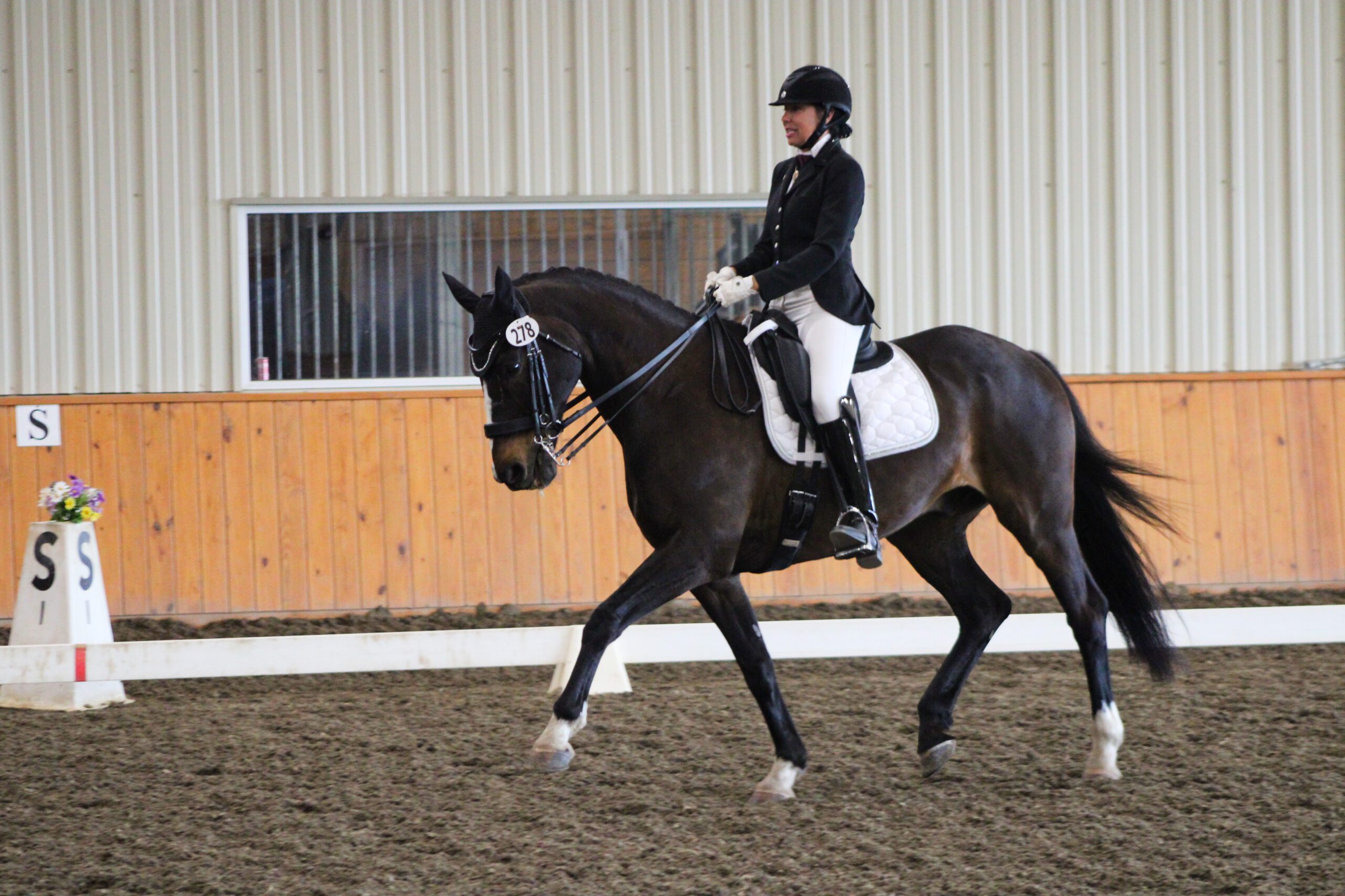 Competitor trotting horse in dressage arena during competition