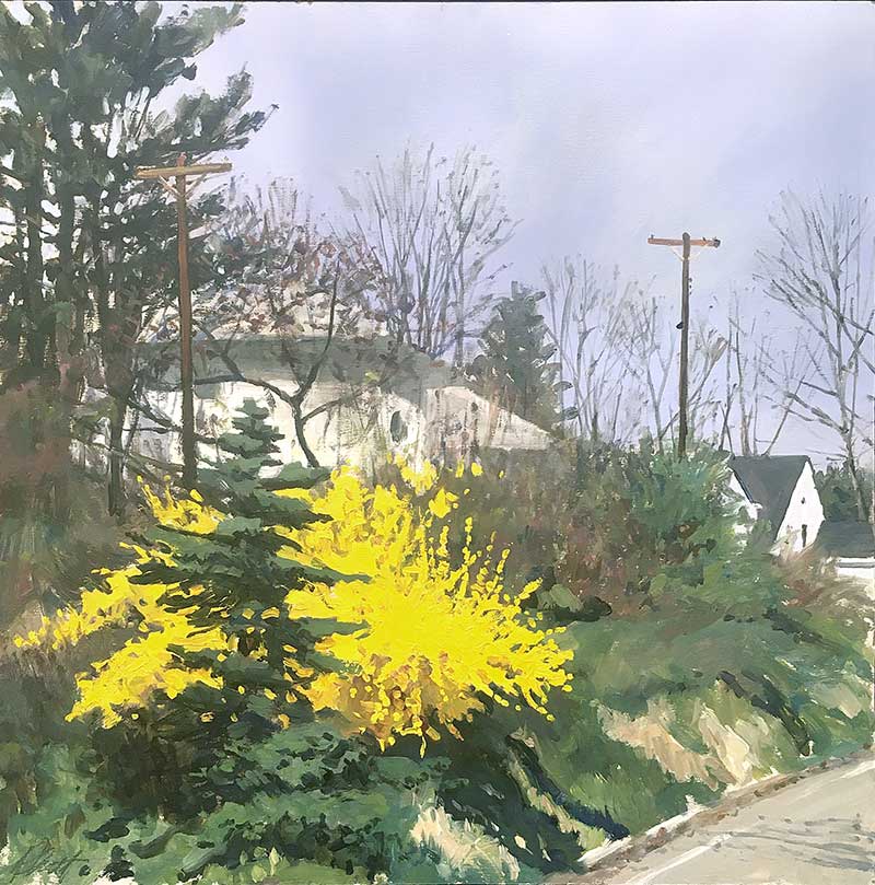 John Rhett painting of yellow forsythia by the side of the road. Oil on panel.
