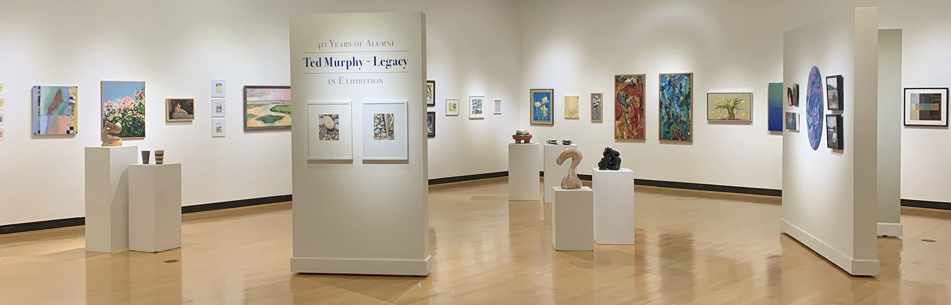 Panoramic view of the Ted Murphy Exhibition at the Ortlip Gallery at Houghton University.