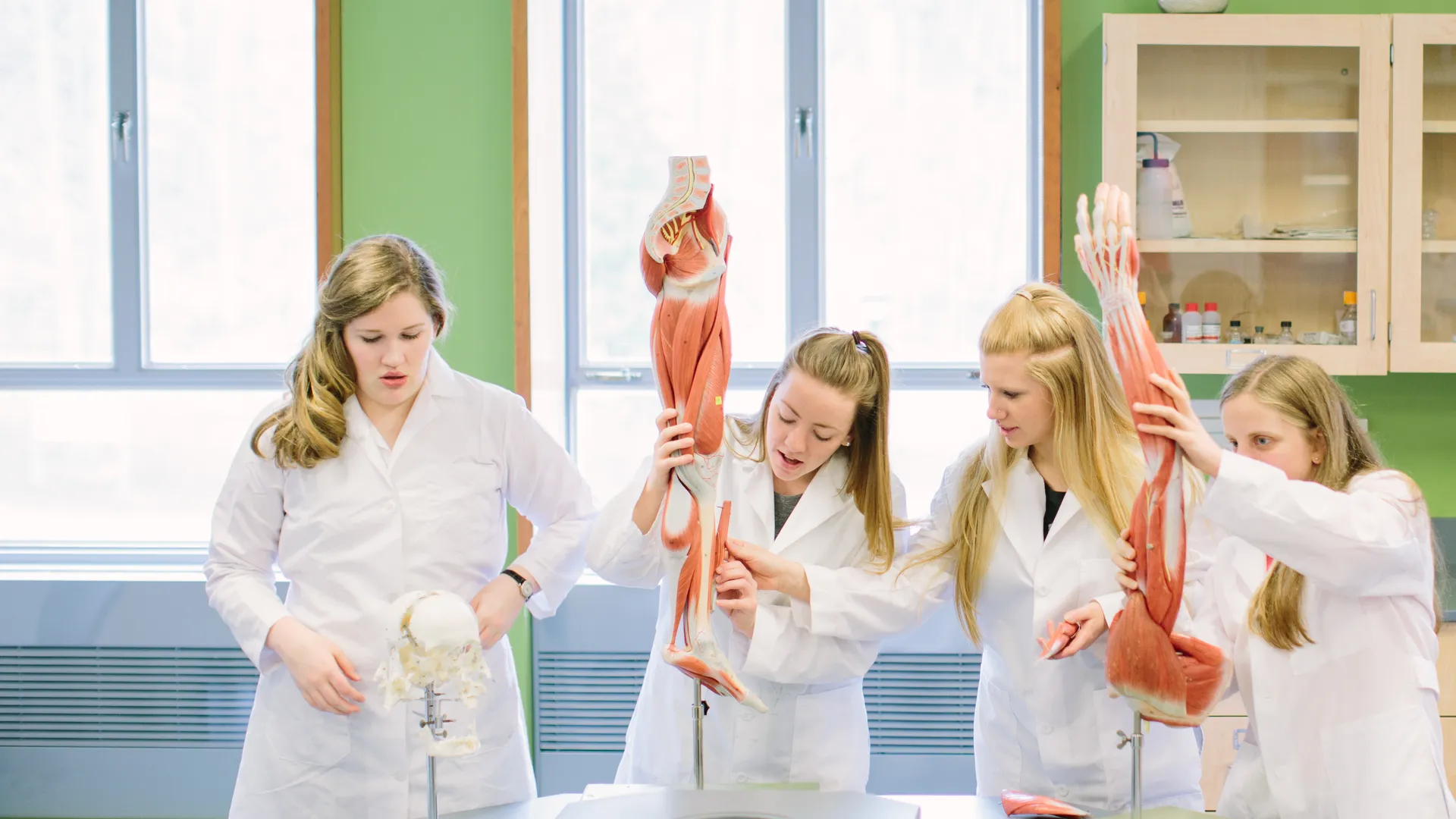 Four female students in lab working with muscle diagrams.